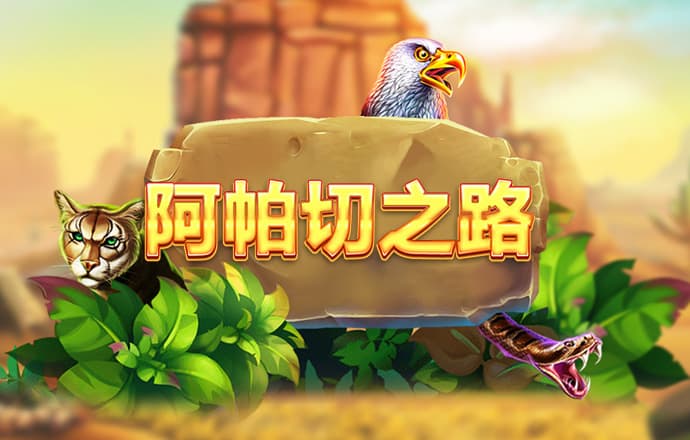 多多28登录下载